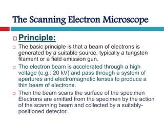 electron microscope slideshare|Electron Microscope. .